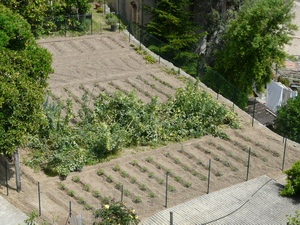 Click here for full details.